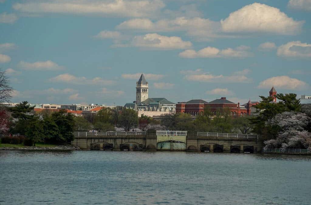 Explore Georgetown With A Boat Rental