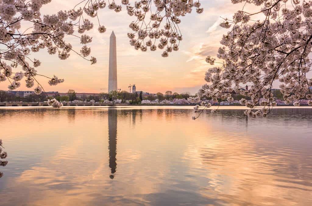 Boat Rentals In Washington DC